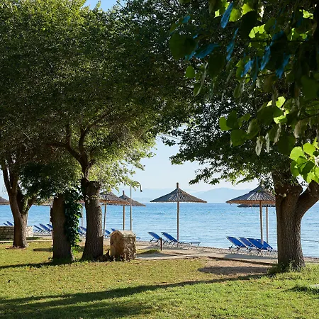 Hotell Delfinia Moraitika