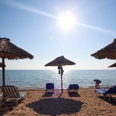 Ξενοδοχείο δελφίνια