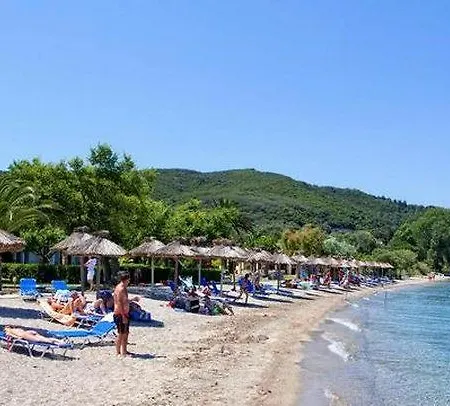 δελφίνια 4* Μωραΐτικα