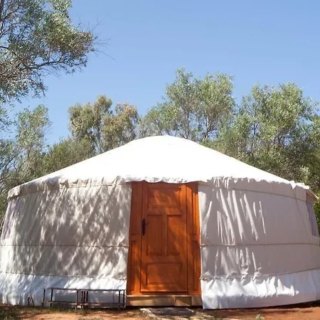 Delfinia モライティカ