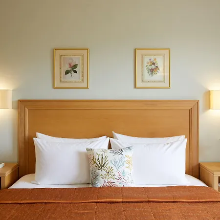 Delfinia Hotel 4*