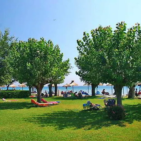 Delfinia 4* مورايتيكا