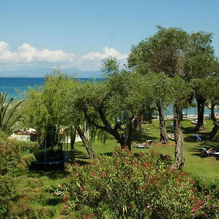 Delfinia Мораитика