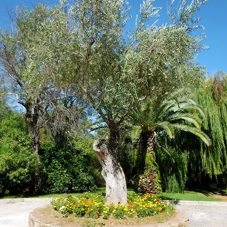 Delfinia