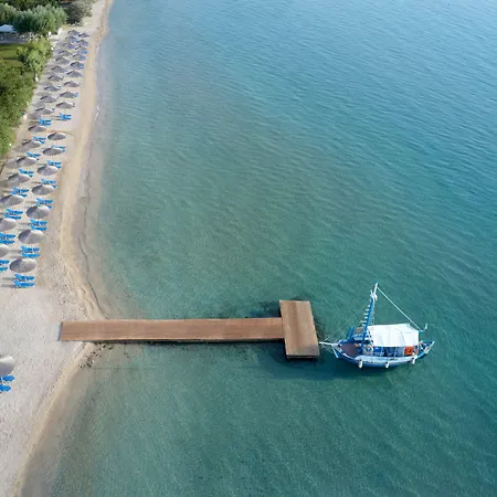 Отель Delfinia 4*