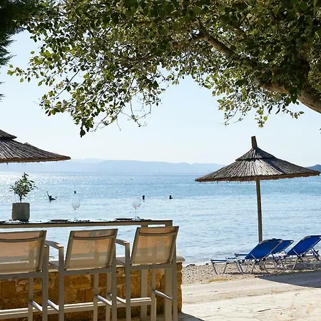 Отель Delfinia Мораитика